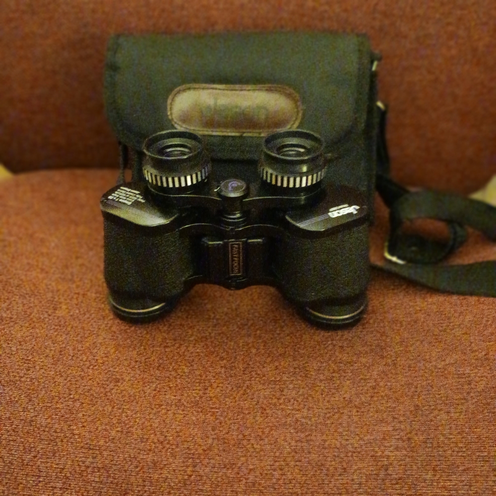 Black Binoculars with Case